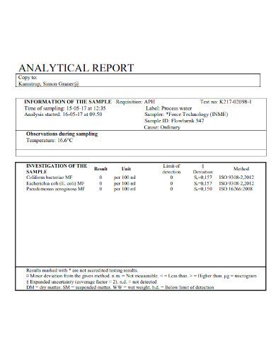 Free 10 Analytical Report Samples Project Survey Outline