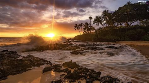 Aloha State Hawaje The United States Maui Island Sea Palms Rocks