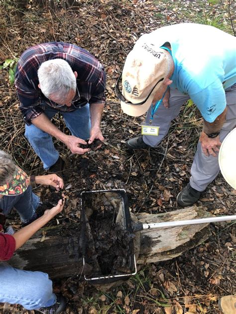 Weekly What Is It Field Research Uf Ifas Extension Escambia County