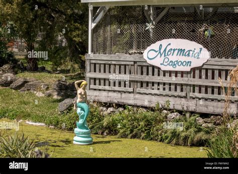 A Mermaid Statue In The Mermaid Lagoon At Weeki Wachee Springs State