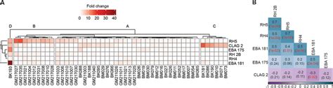 Relative Gene Expression And Correlation Between Gene Expression