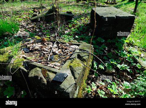 Abandoned Cemetery Castolovice Ceska Lipa Czech Republic The