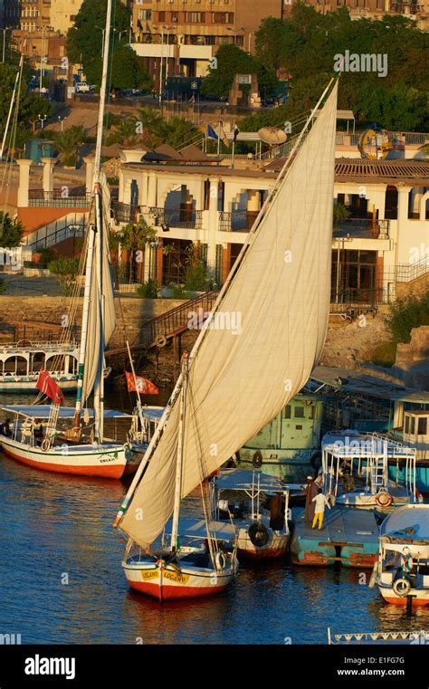 Egypt, Nile valley, Aswan, Feluccas on the Nile River Stock Photo - Alamy