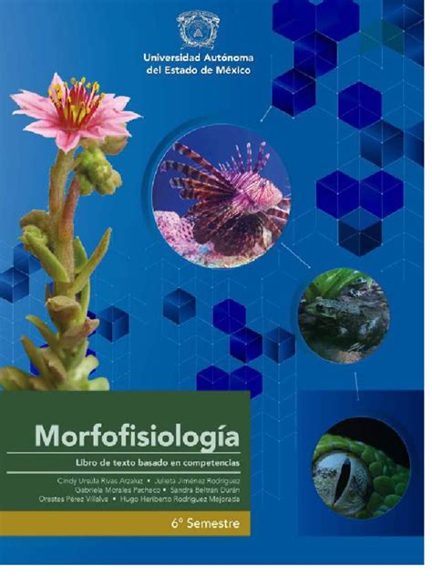 Morfofisiología 2022 Pdf Pdf Biología Del Desarrollo Reproducción