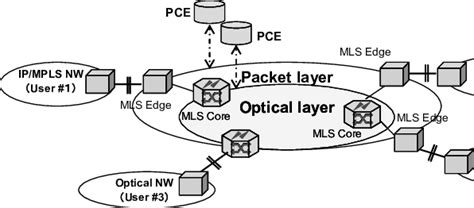 Multilayer Service Network Architecture Download Scientific Diagram