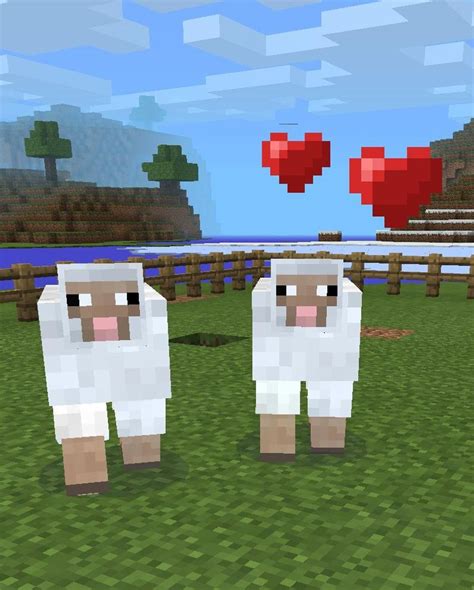 How to get a sheep to have a baby on minecraft!!!🐏 - B+C Guides