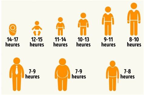 Durée de sommeil idéale selon l age Actualités Sante dz