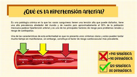 Solution Hipertension Arterial Diapositivas Studypool The Best Porn