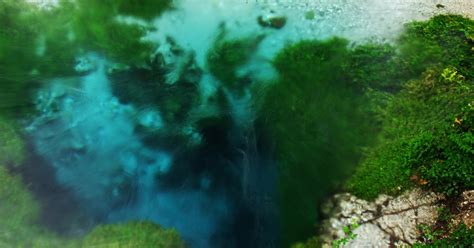 nature    amateur naturalist syri  kalter albania syri