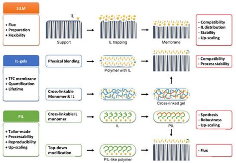 Membranes Free Full Text A Review On Ionic Liquid Gas Separation