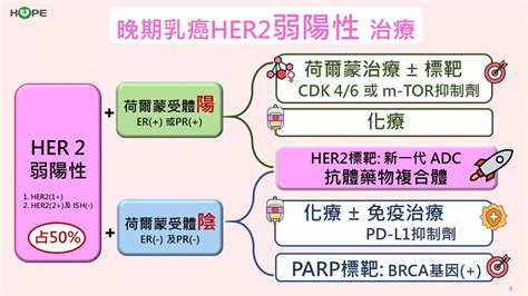 Her2「弱陽性」晚期乳癌 治療有突破發展