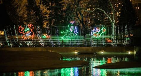 Chicago's Beloved ZooLights Experience Has Returned To Lincoln Park Zoo ...