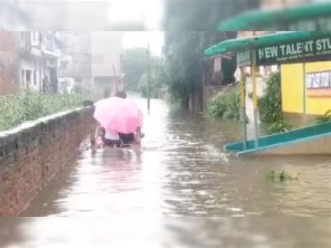 Heavy Rain Damage Bhojpur Condition बिहार बारिश ने बिगाड़ी भोजपुर