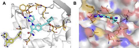 Cocrystal Structure Of 41 And Pak4 A X Ray Cocrystal Structure Of 41