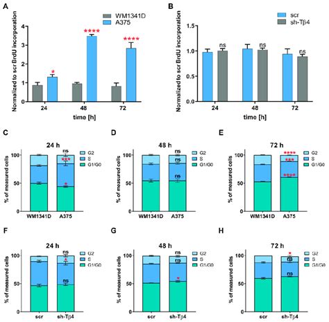 Analysis Of Cell Proliferation Rate And Cell Cycle Progression In