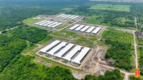 Inside Smc S Mega Poultry Farm In Hagonoy Davao Del Sur Youtube