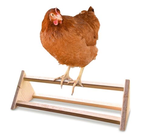 Chicken Perch Strong Wooden Roosting Bar Made In Usa Solid Accessories And Toys For Coop And