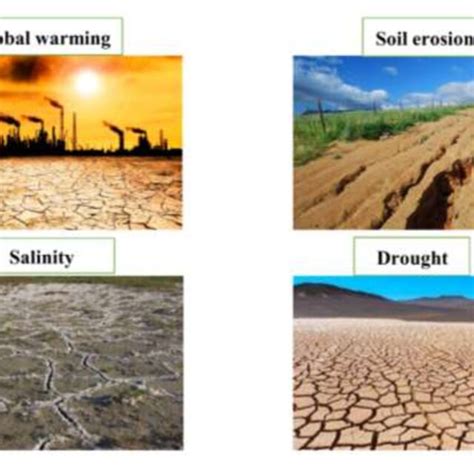 Major Abiotic Factors Causing Agricultural Losses C Soil Erosion