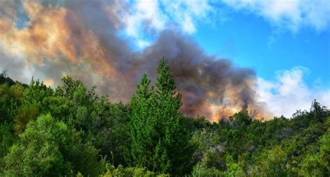 Alerta En El Bolsón El Incendio Forestal Ya Consumió 10 Mil Hectáreas De Bosques Y Temen Por