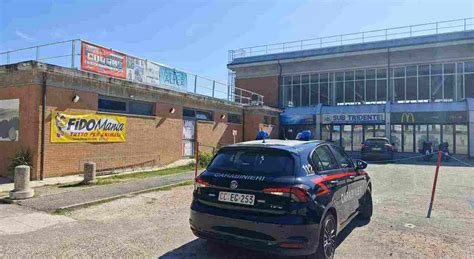 Pesaro Morto In Piscina Malore Fatale Mentre Si Allena In Piscina Il