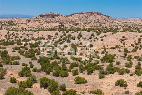 Desert Landscape In New Mexico Stock Photo | Royalty-Free | FreeImages