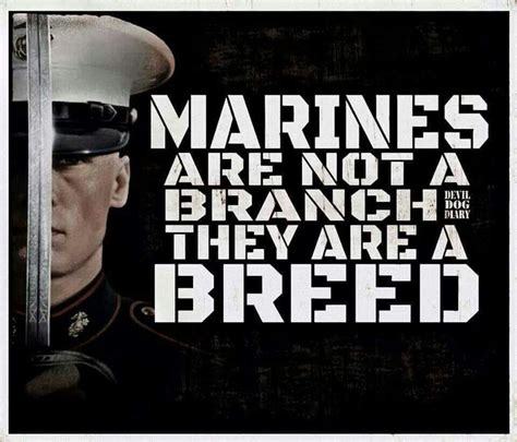 Pin By Lisa Wells On Usmc Military Marines Usmc Quotes Marine Quotes