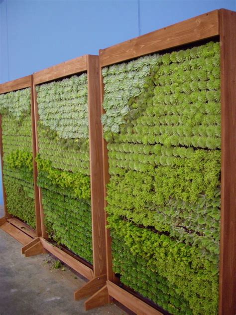 If You Dont Know What A Living Wall Is Then Start Here With This