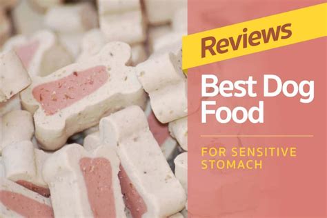 reviews  dog food  sensitive stomachs