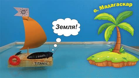 Опасные приключения мадагаскарского Таракана на плоту! - YouTube