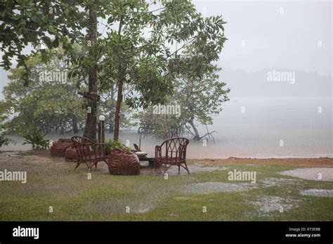 Bosque Tropical Monzónico Fotografías E Imágenes De Alta Resolución Alamy