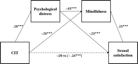 The Mediating Role Of Psychological Distress And Mindfulness In The