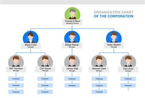 Create Clear And Visually Appealing Organisation Chart By Dpka Tayade Fiverr