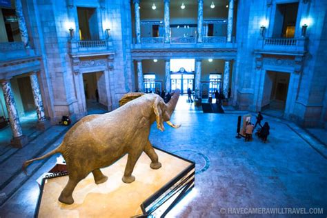 Smithsonian Museum Of Natural History Washington Dc Photo Guide