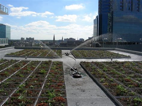 Green Roof Blocks Simple Solutions To Building Green