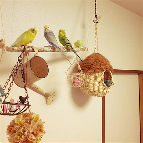 部屋全体ハギレでフラワーボール自由時間♡セキセイインコインコと暮らす家などのインテリア実例 2017 09 14 1958