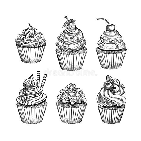 Hand Drawn Cupcakes Set Stock Vector Illustration Of Sketch 234462369