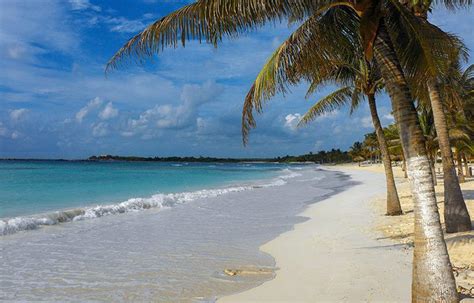 10 Surprising Facts About The Beaches Of The Dominican Republic ...