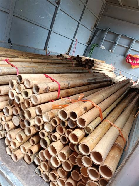 Dried Treated Bamboo Poles Canes Stakes Poles For Bamboo Raw Garden