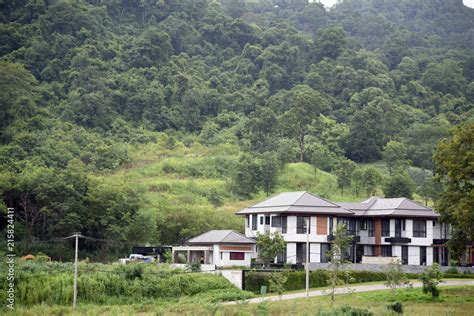 House In The Middle Of The Forest A House In The Middle Of Forest In A