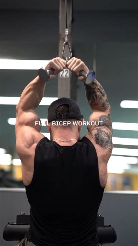 How To Grow Bigger Biceps With These Simple Workouts🔥 Quick And Easy So