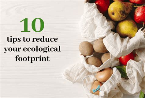 How To Reduce Our Ecological Footprint Heightcounter5