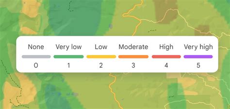 Pollen Data, Types & Information - Google Maps Platform