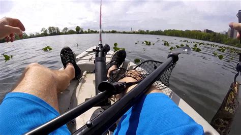 Snakehead Hunt Part The Giants Youtube