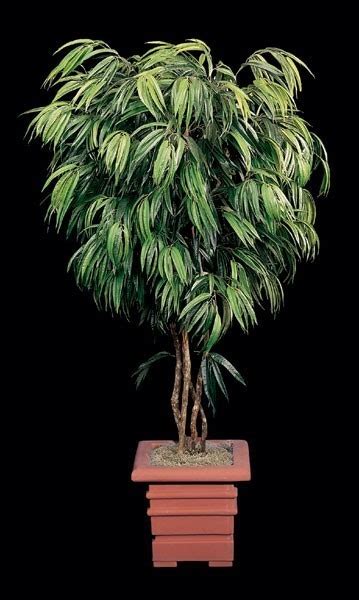 Earthflora Faux Ficus Trees Ficus Alii Tree Custom Made In Any Height