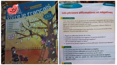 Phrases Affirmative Et N Gative Le Nouveau Vivre Le Francais Ce