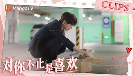 ENG SUB对你不止是喜欢霸总这是要铁树开花I May Love YouMangoTV Sparkle YouTube