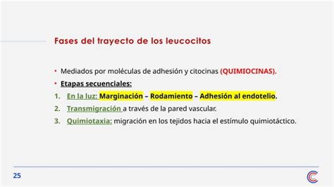 Clase Inflamaci N Aguda Robbins Pptx Ppt Descarga Gratuita