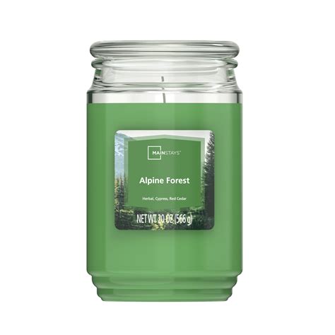 Mainstays Alpine Forest Single Wick Jar Candle 20 Oz DroneUp Delivery