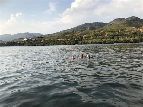 Douro Vintage Boat Trips Pinhao Alles Wat U Moet Weten Voordat