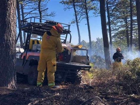 Controlan Incendio Forestal En Galeana